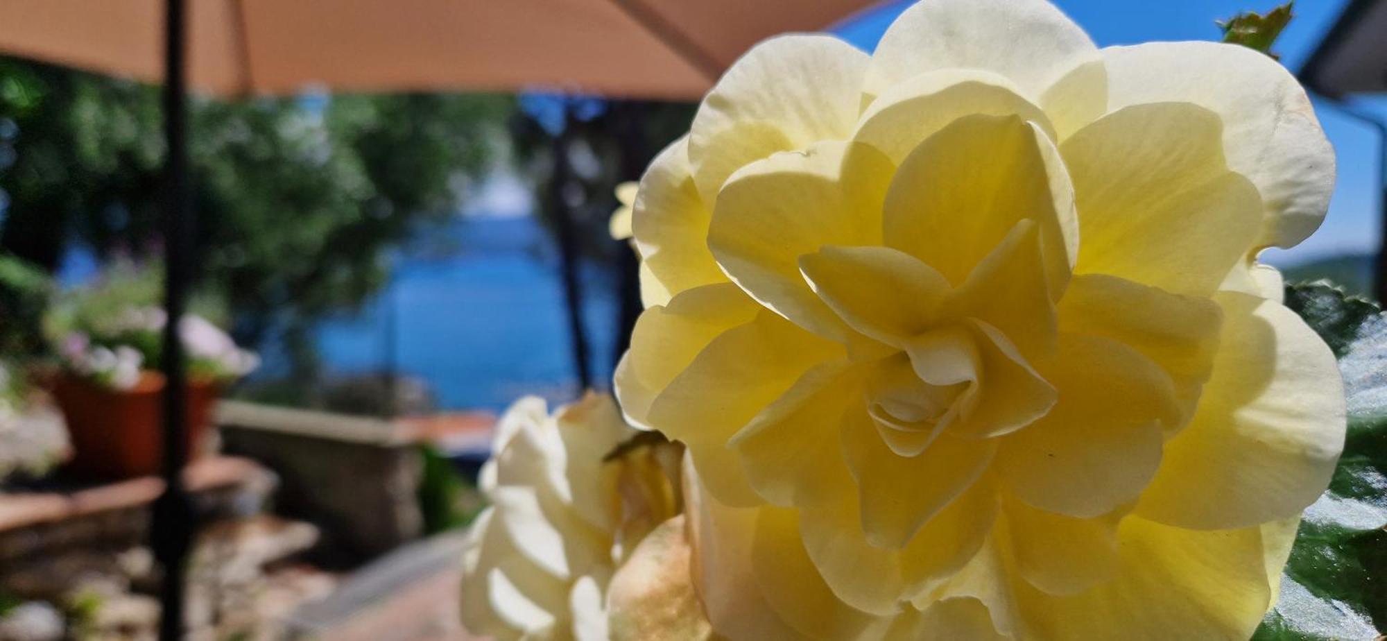 Villamara Luxury Rooms La Spezia Ngoại thất bức ảnh